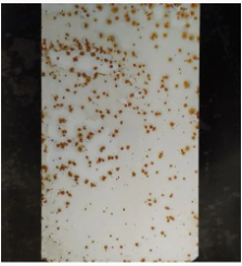 Ϳ���÷��W�P������Щ�N�����οƌWʹ���� Ϳ���ھ�,coatingol.com