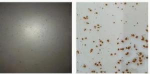 Ϳ���÷��W�P������Щ�N���οƌWʹ���� Ϳ���ھ�,coatingol.com